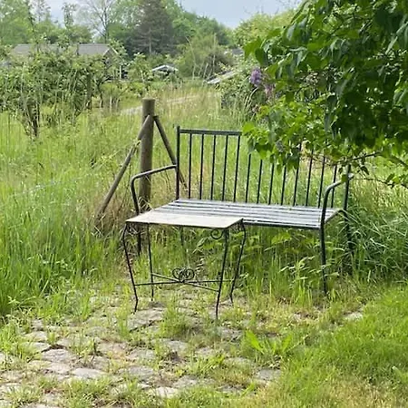 Vacation With Sea Views - 200m From